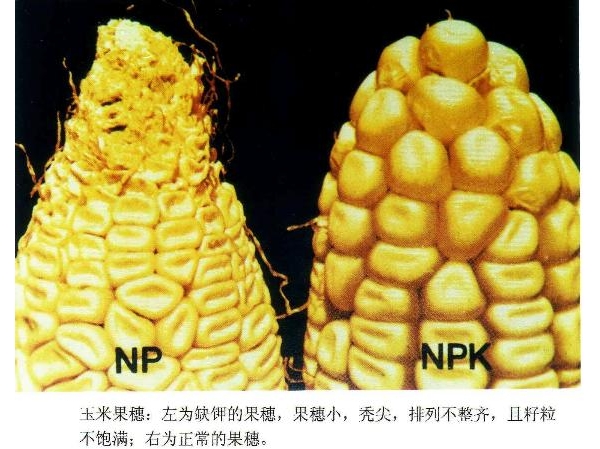 附件