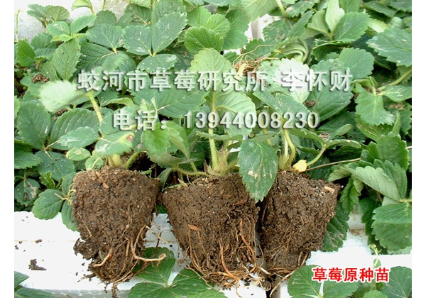 附件