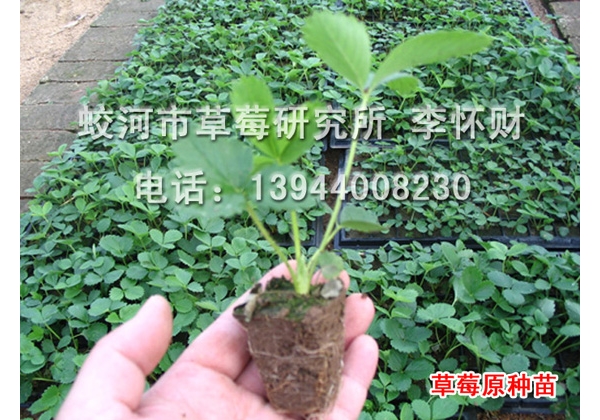 附件