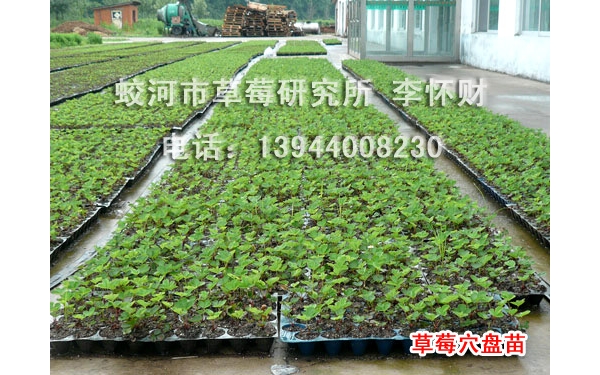 附件