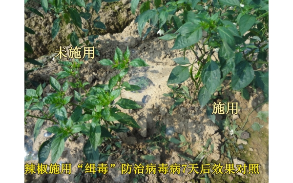 附件