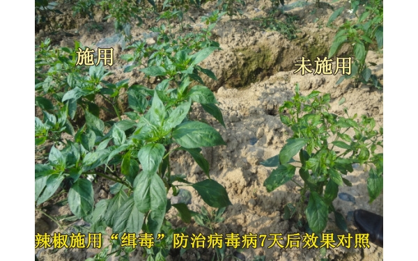 附件