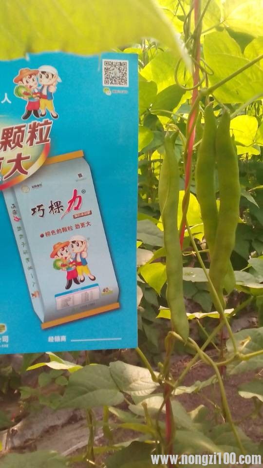 附件