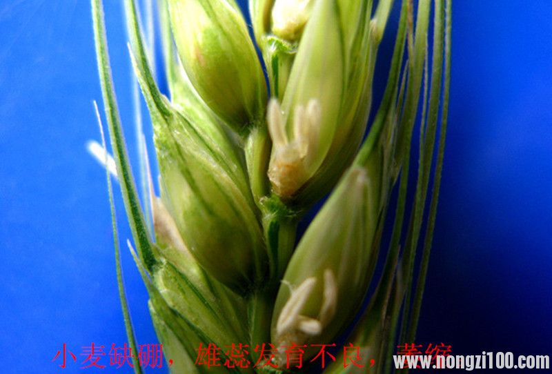 附件