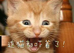 附件