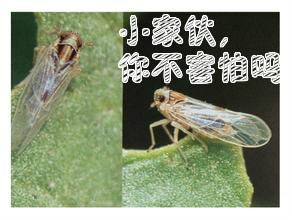 附件