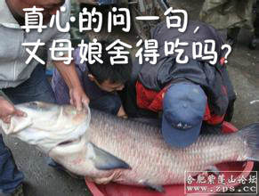 附件