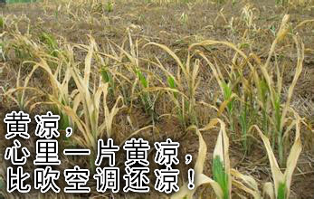 附件