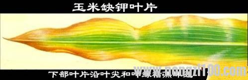 附件