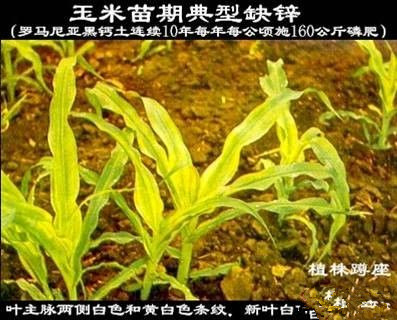 附件