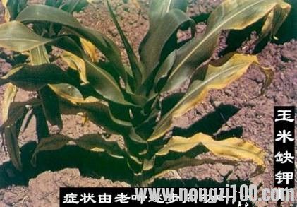 附件