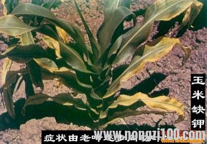 附件