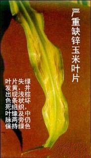 附件