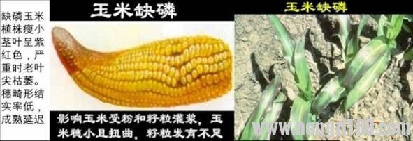 附件