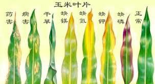 附件