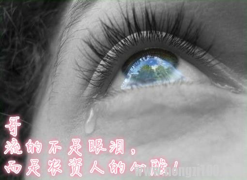 附件