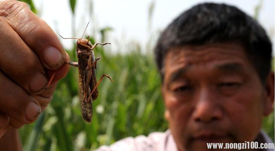 附件