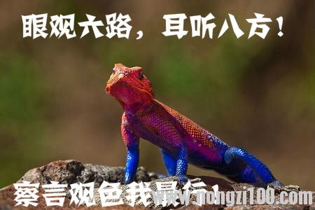 附件