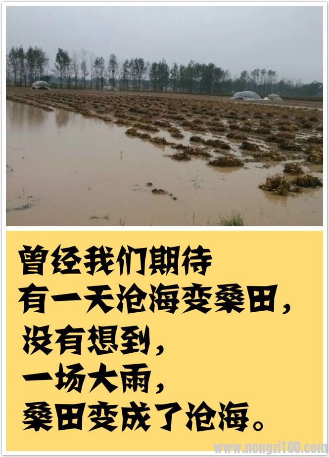 附件