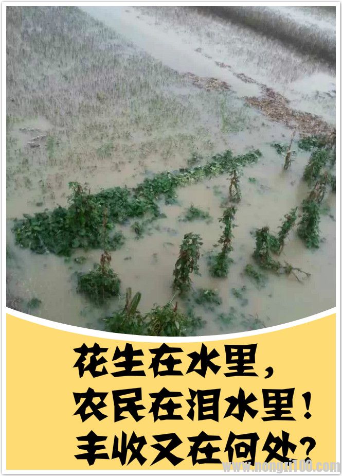 附件