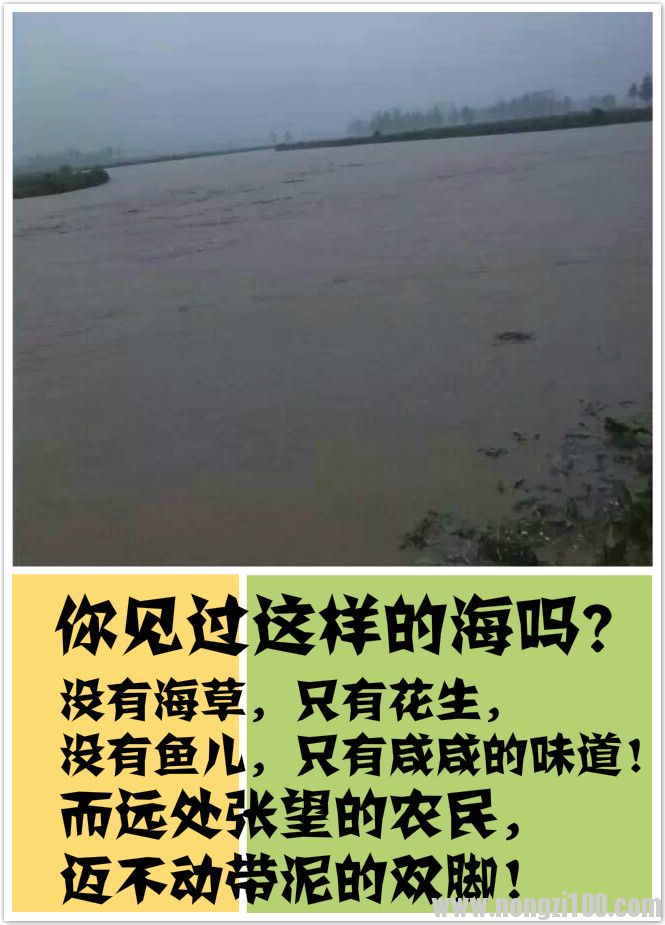 附件