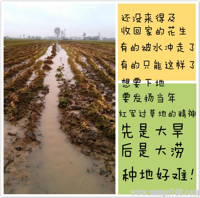 附件