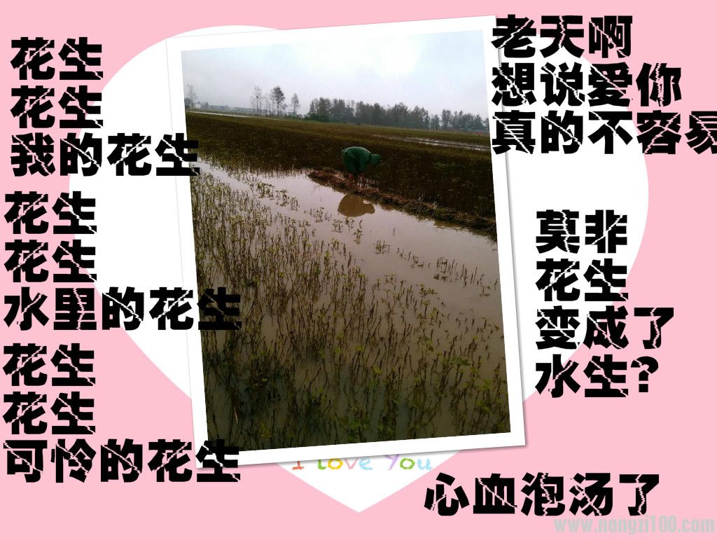 附件