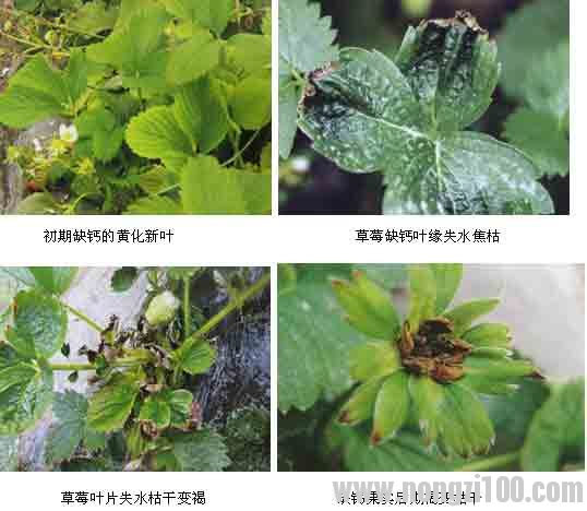 附件