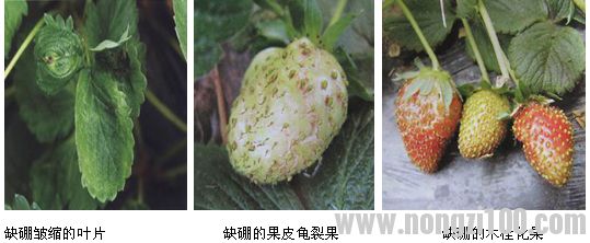 附件