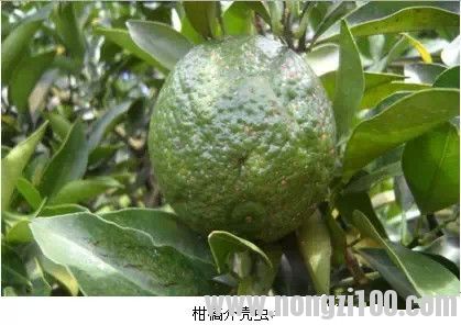 附件