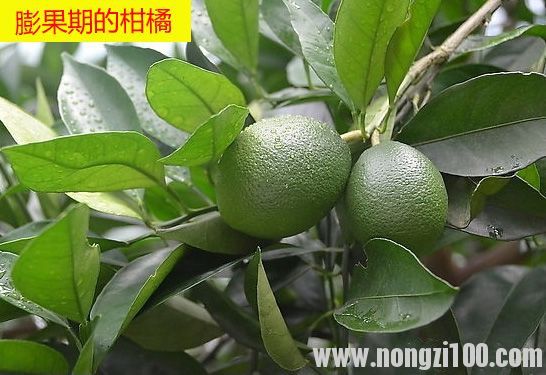附件