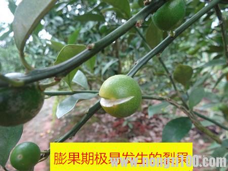 附件