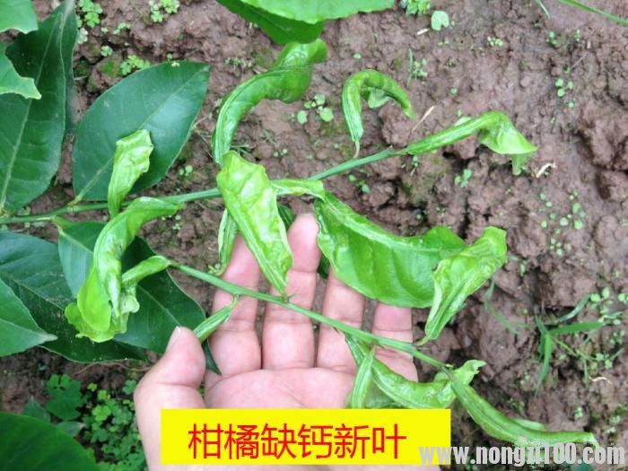 附件