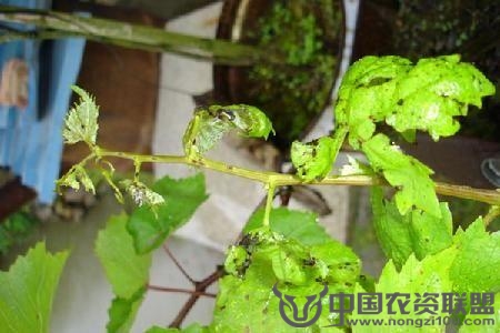 附件
