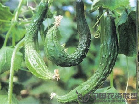 附件