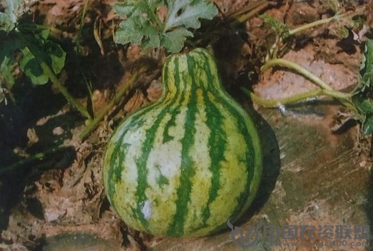 附件