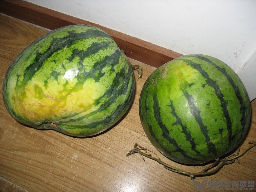 附件