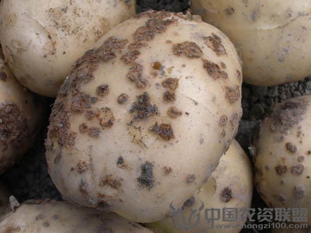 附件