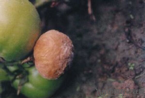 附件