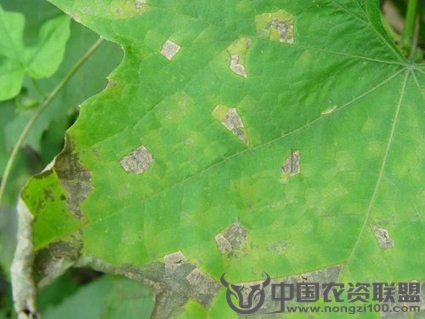 附件