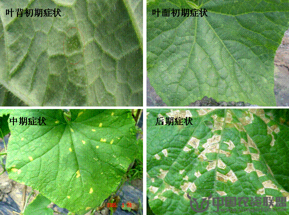 附件