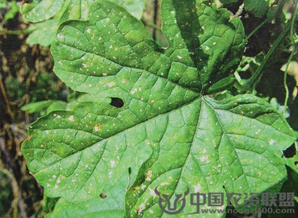 附件