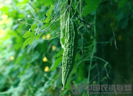 附件