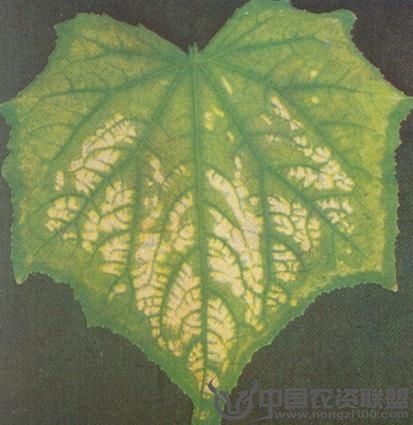 附件