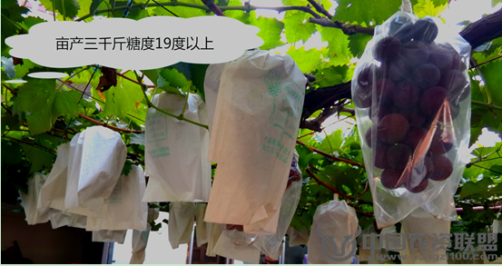 附件