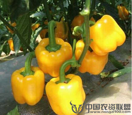 附件