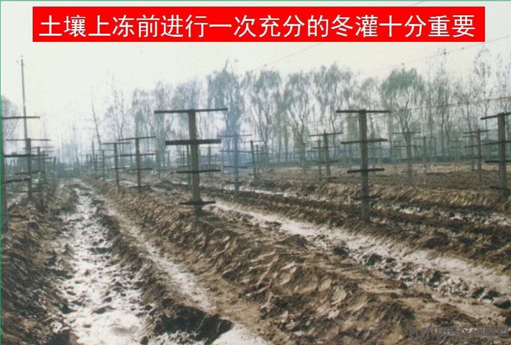 附件