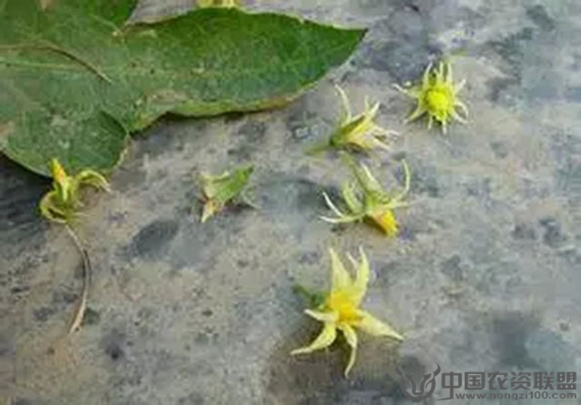 附件