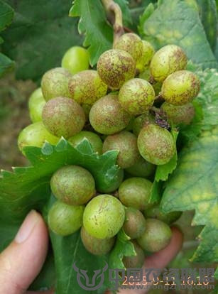 附件