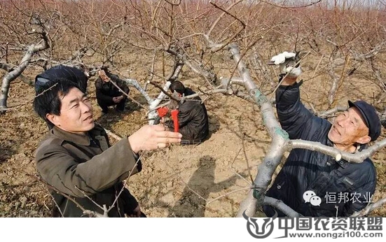附件